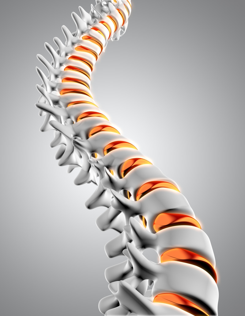 Physiotherapist demonstrating lower back exercises